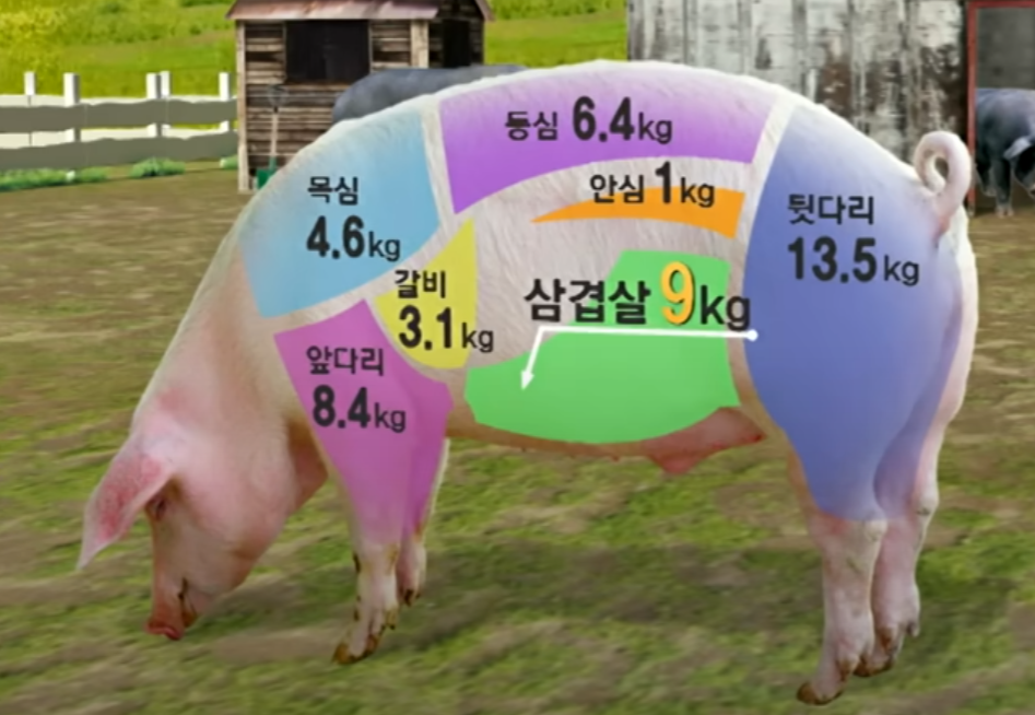 삼겹살 건강, 진짜 몸에 해롭기만 할까? 과학으로 본 진실 3 삼겹살 건강, 진짜 몸에 해롭기만 할까? 과학으로 본 진실 글